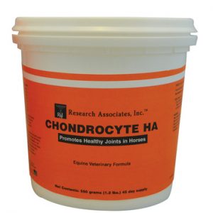 A orange bucket. Fill with Chondrocyte HA Pwoser great to promote healthy joint function in your horse.